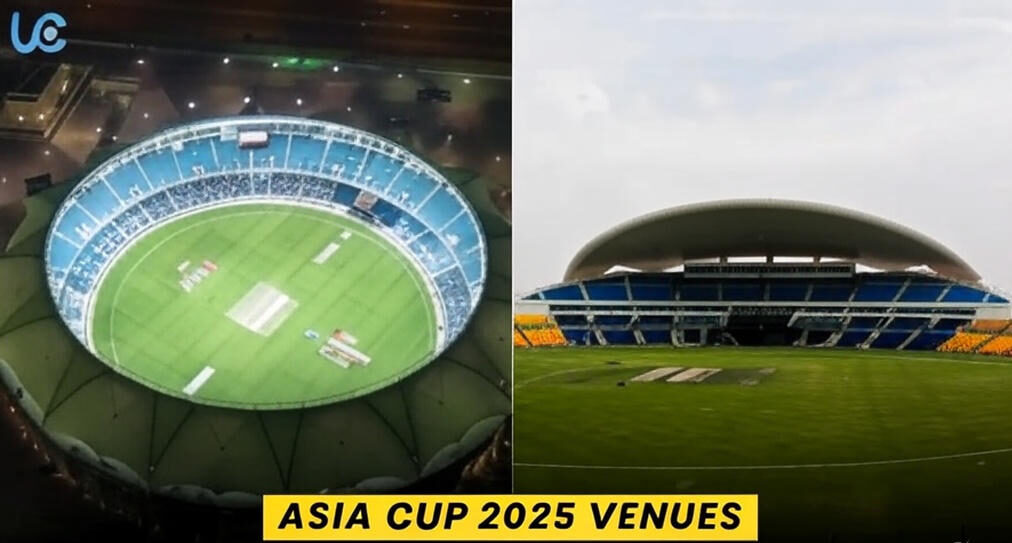 The image depicts a group of cricket players from various teams standing on a field in front of a stadium with empty stands. The players are wearing colorful uniforms representing their respective countries, including the United Arab Emirates, Bangladesh, Sri Lanka, India, Afghanistan, Pakistan, and Oman. They are positioned around a trophy pedestal displaying the ICC Men's T20 World Cup trophy. A small model truck branded with "DP World" is placed in front of the group. The background features advertising banners, including prominent "DP World" logos, and a large screen displaying the "DP World" logo.