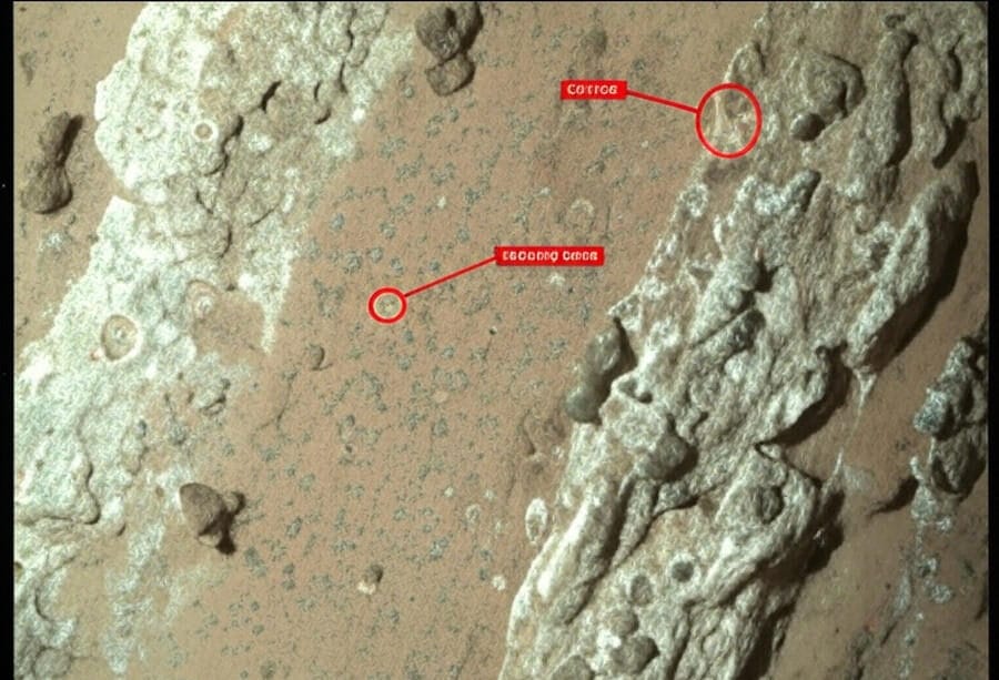 Perseverance Rover Uncovers Martian Life Clues